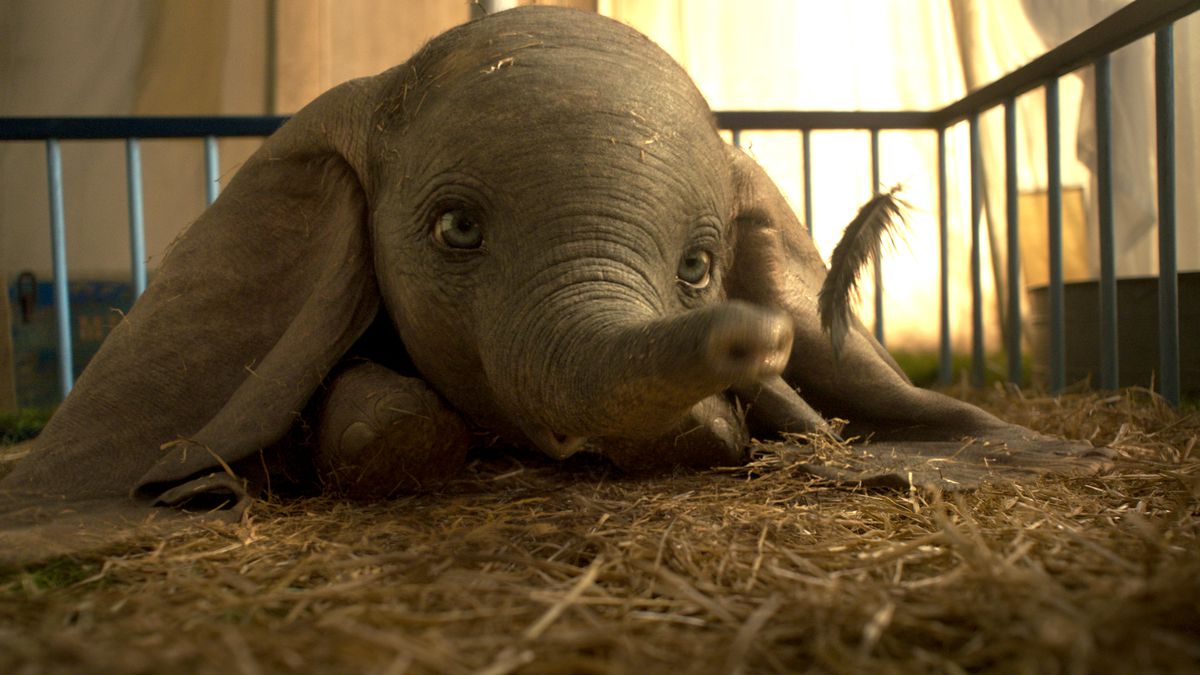Immagine dal film Dumbo di Tim Burton su MovieDigger