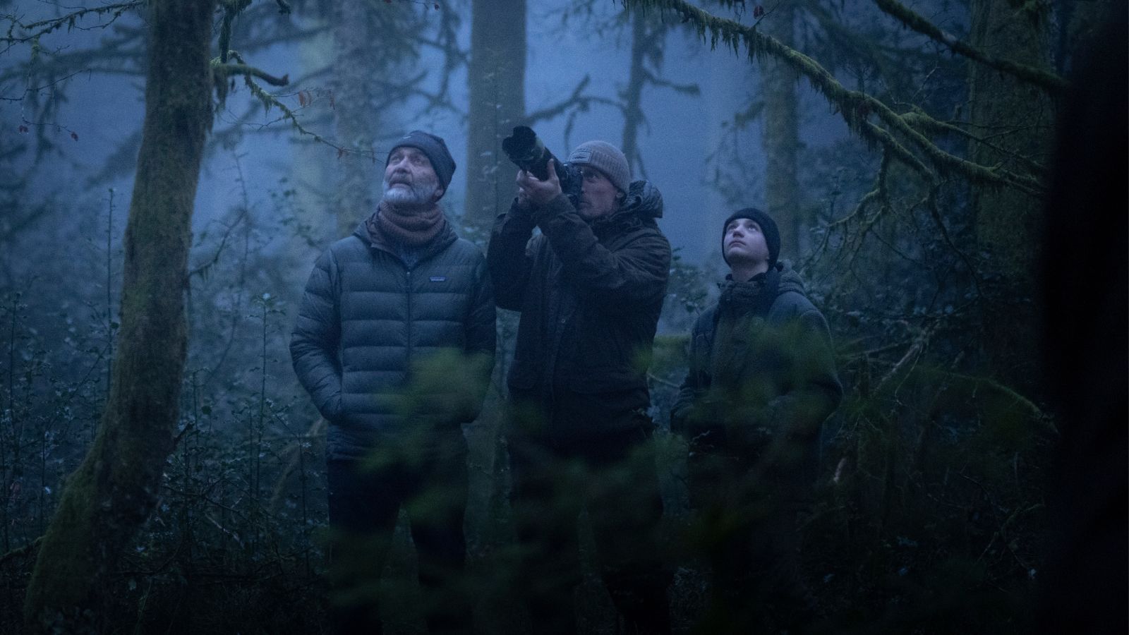 IL CANTO DELLA FORESTA, il nuovo documentario di Vincent Munier